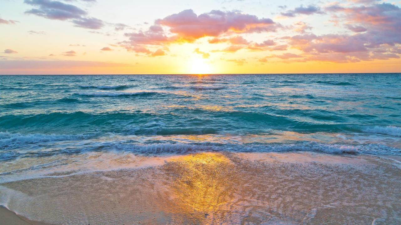 Budget Friendly Condo Within Walking Distance To The Beach! กัลฟ์ชอร์ส ภายนอก รูปภาพ